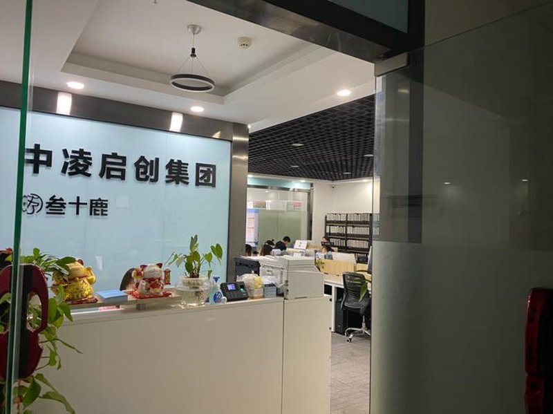 企业画册设计：从策略到视觉的完美结合